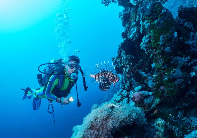 Banda Sea Liveaboard Photography Tips